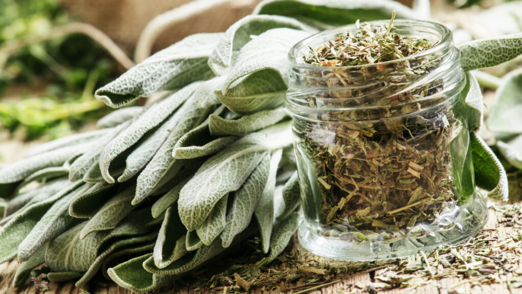 Ground and Rubbed Sage