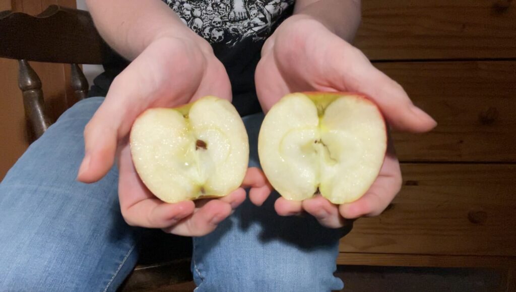 Apple in Half 