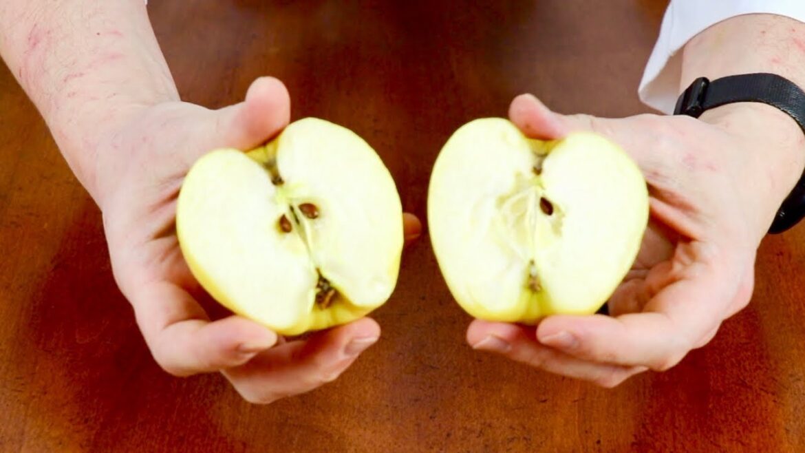 Apple in Half
